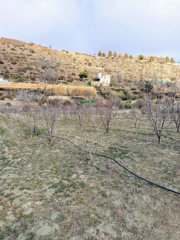 Terreno en venta en Abla, Almería photo 1