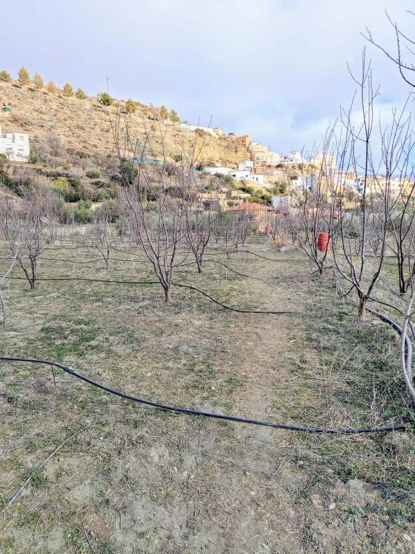 Terreno en venta en Abla, Almería photo 3