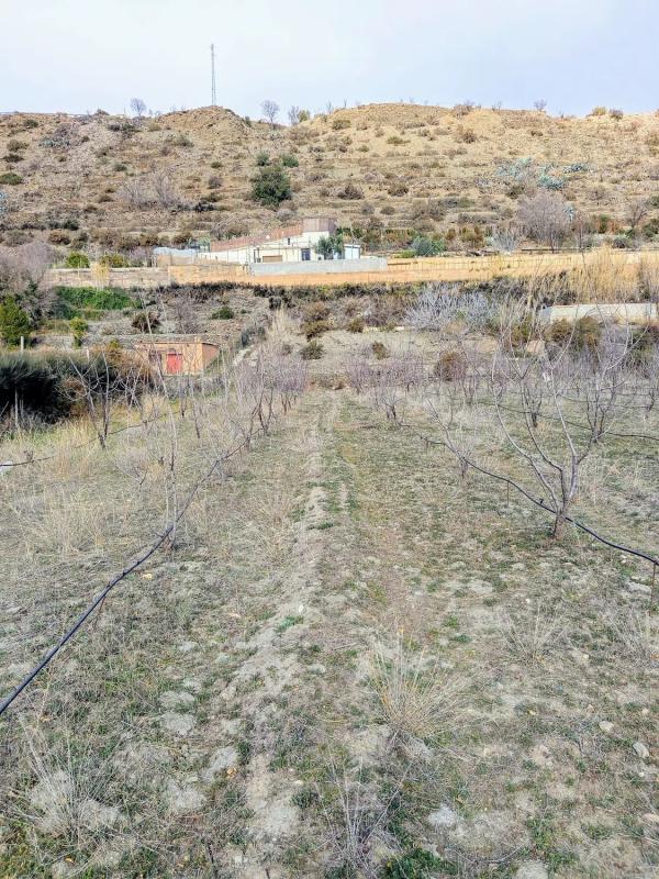 Terreno en venta en Abla, Almería photo 5