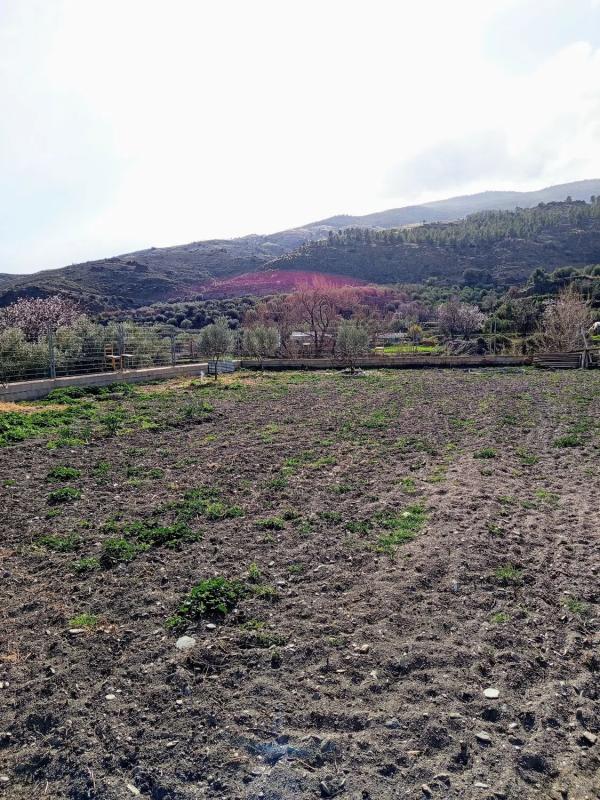 Terreno en venta en Abla, Almería photo 2