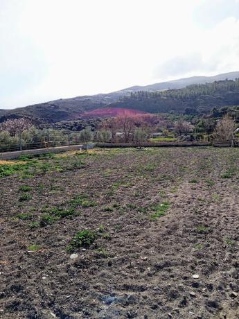 Terreno en calle Albaicín, 3 thumbnail 1