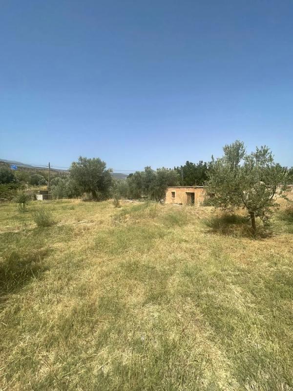 Terreno en venta en Abla, Almería photo 2