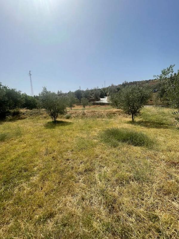 Terreno en venta en Abla, Almería photo 3