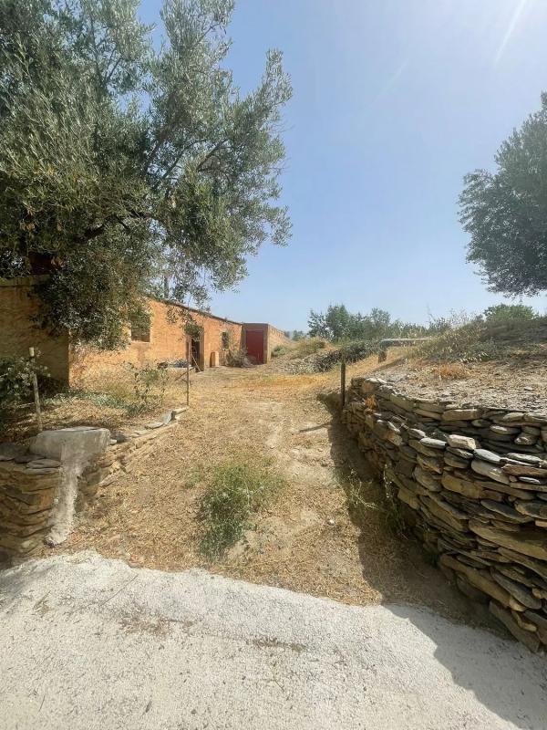 Terreno en venta en Abla, Almería photo 5