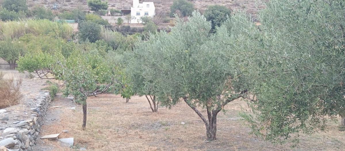 Terreno en venta en Abla, Almería photo 2