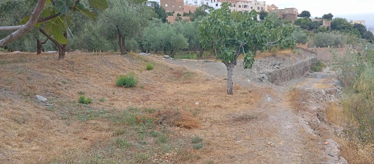 Terreno en venta en Abla, Almería photo 5