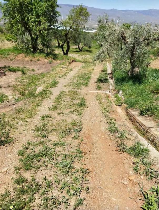 Terreno en venta en Abrucena, Almería photo 1
