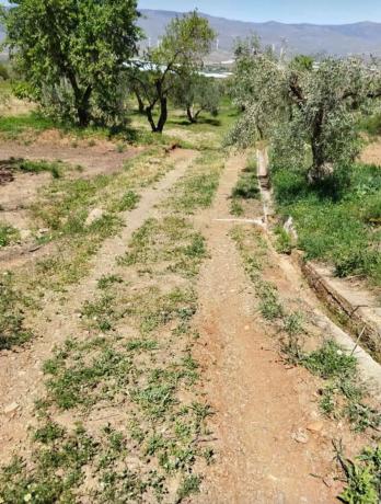 Terreno en via A-92 s/n photo 1