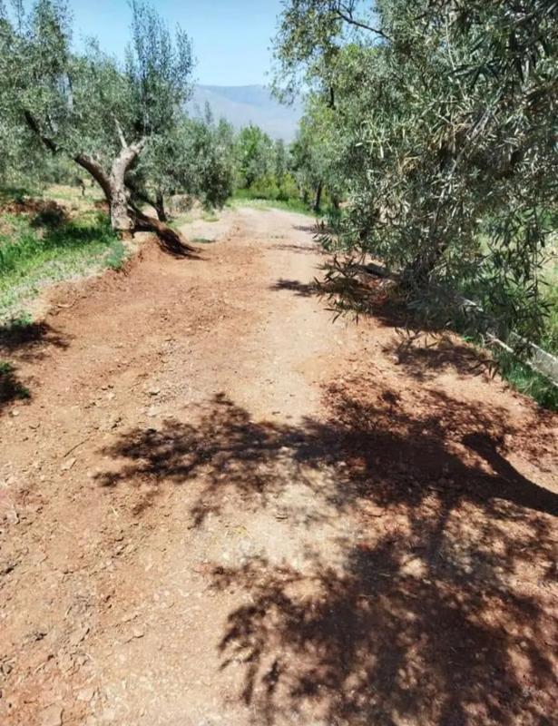 Terreno en venta en Abrucena, Almería photo 2