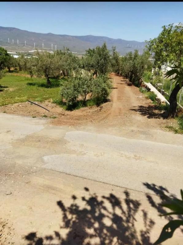Terreno en venta en Abrucena, Almería photo 3