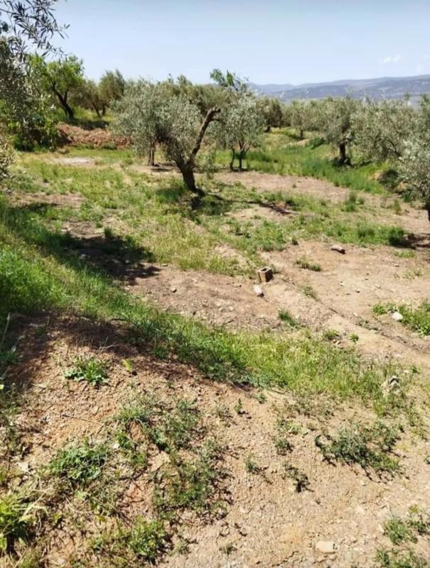 Terreno en venta en Abrucena, Almería photo 5