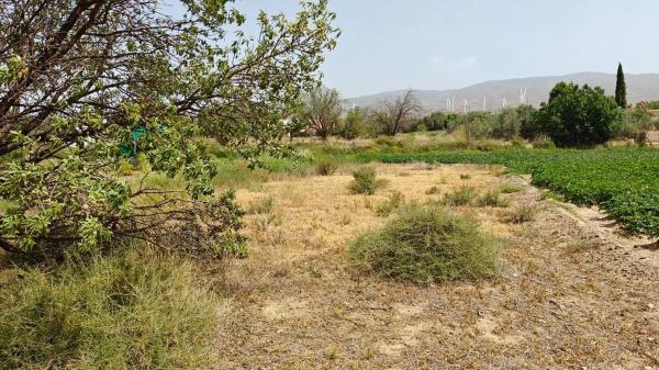 Terreno en camino Real, 1 photo 1