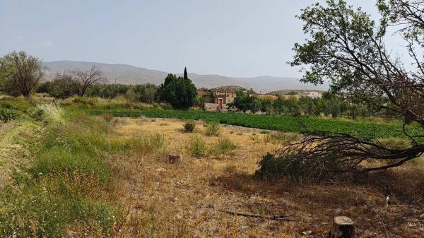 Terreno en camino Real, 1 photo 2