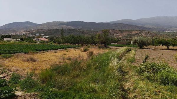 Terreno en camino Real, 1 photo 3