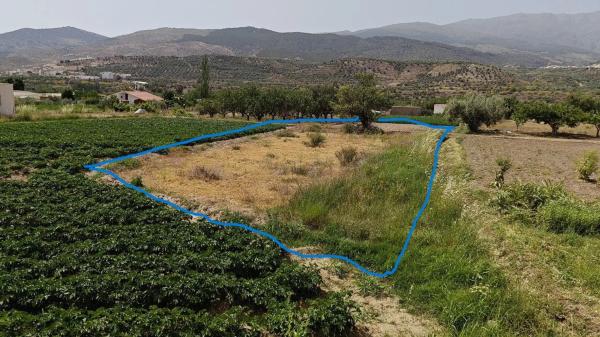 Terreno en camino Real, 1 photo 4