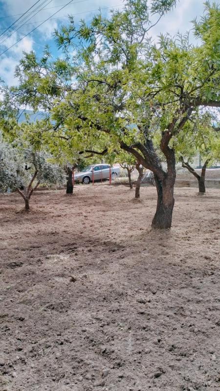 Terreno en venta en Abla, Almería photo 2