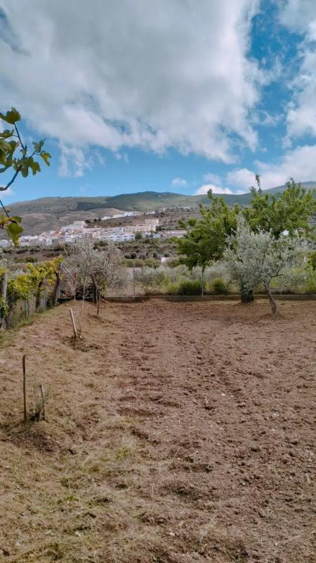 Terreno en venta en Abla, Almería photo 4