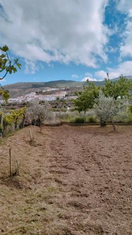 Terreno en Paraje Ofatabla s/n photo 4