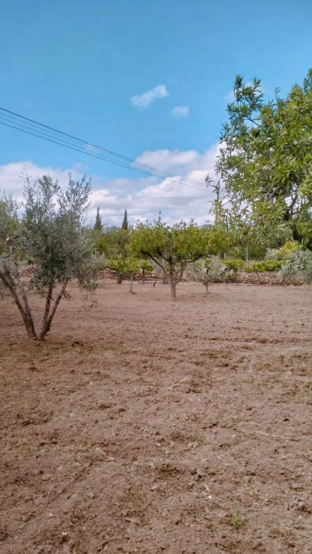 Terreno en venta en Abla, Almería photo 5