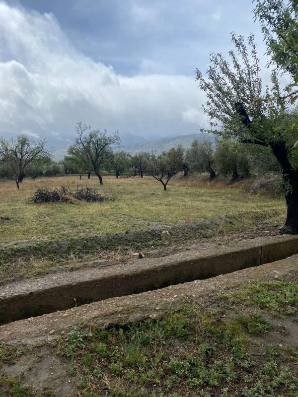 Terreno en venta en Fiñana, Almería photo 1