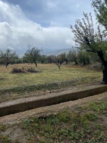Terreno en Tachas, 37 photo 1