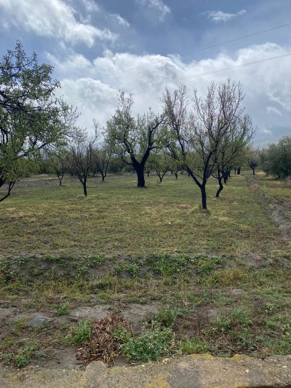 Terreno en venta en Fiñana, Almería photo 2