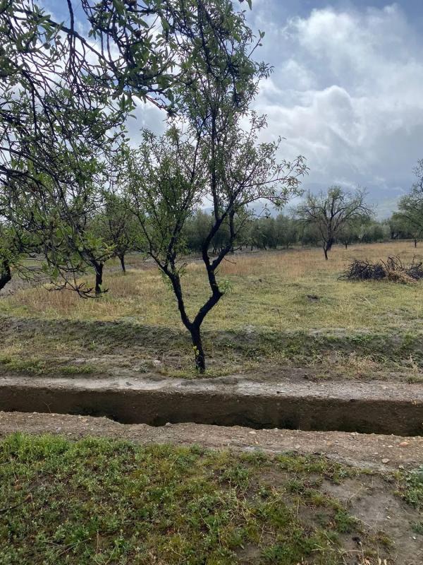 Terreno en venta en Fiñana, Almería photo 3