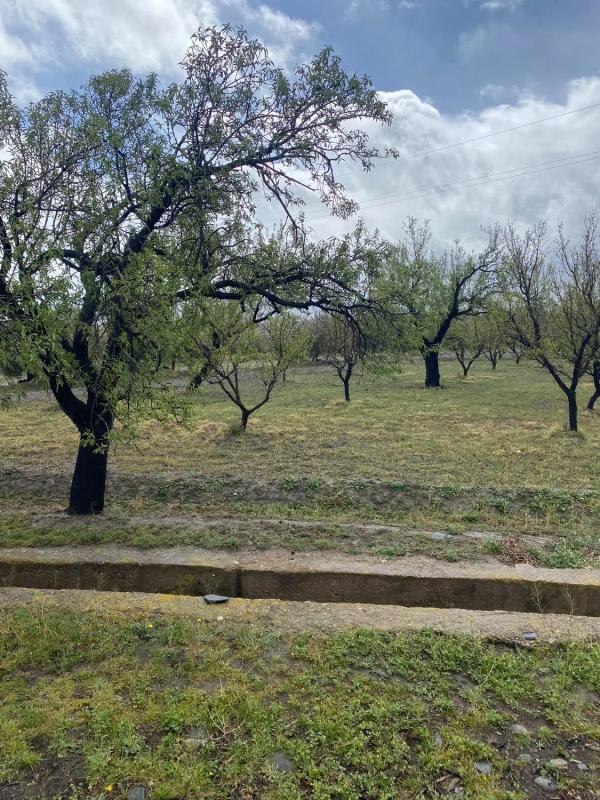 Terreno en venta en Fiñana, Almería photo 4