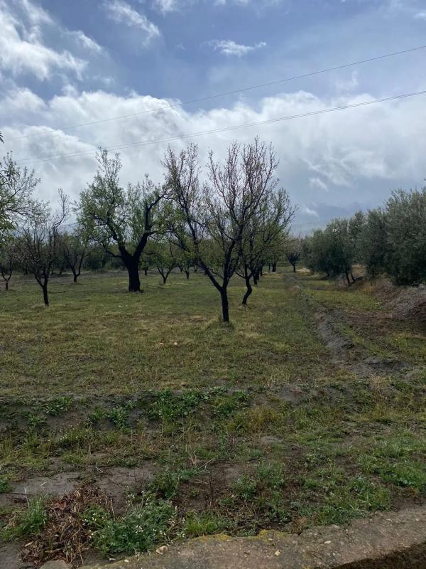 Terreno en venta en Fiñana, Almería photo 5