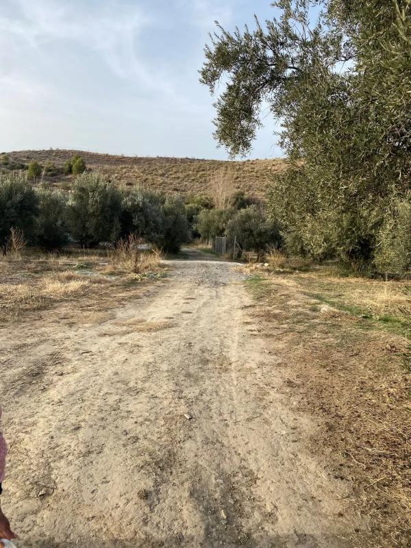 Terreno en venta en Las Tres Villas, Almería photo 3