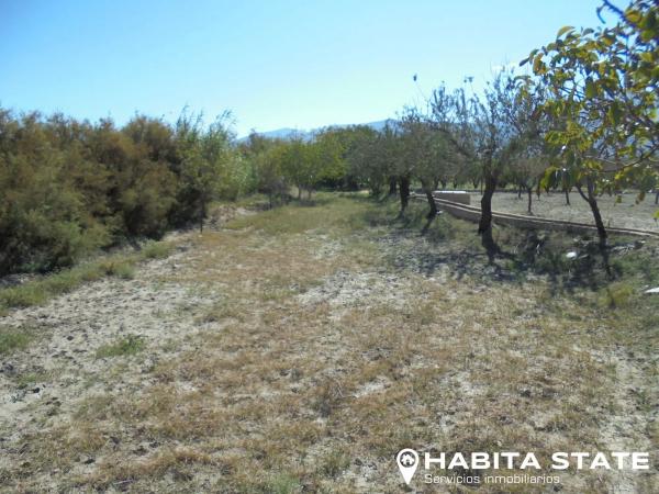 Terreno en Paraje Cipreses s/n photo 1