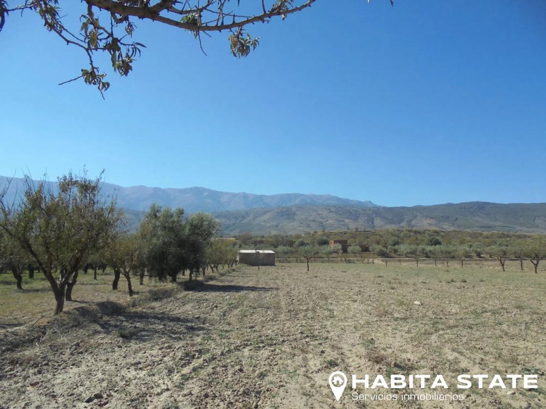 Terreno en venta en Fiñana, Almería photo 3