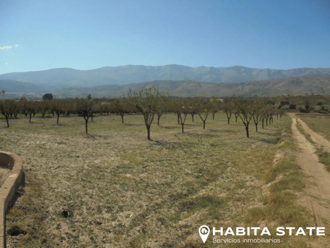 Terreno en venta en Fiñana, Almería photo 4