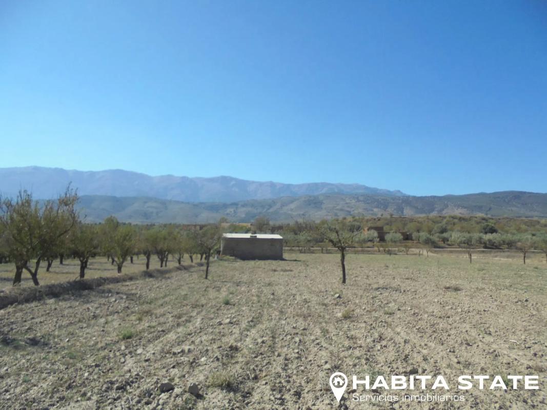 Terreno en venta en Fiñana, Almería photo 5