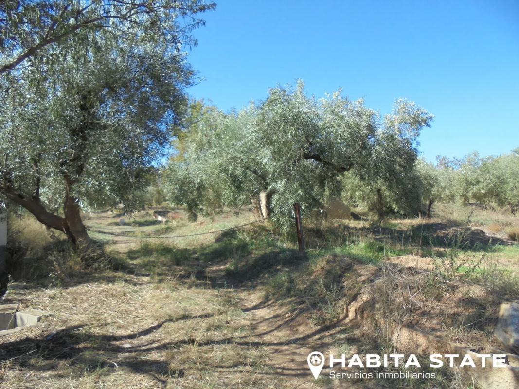 Terreno en venta en Abrucena, Almería photo 2