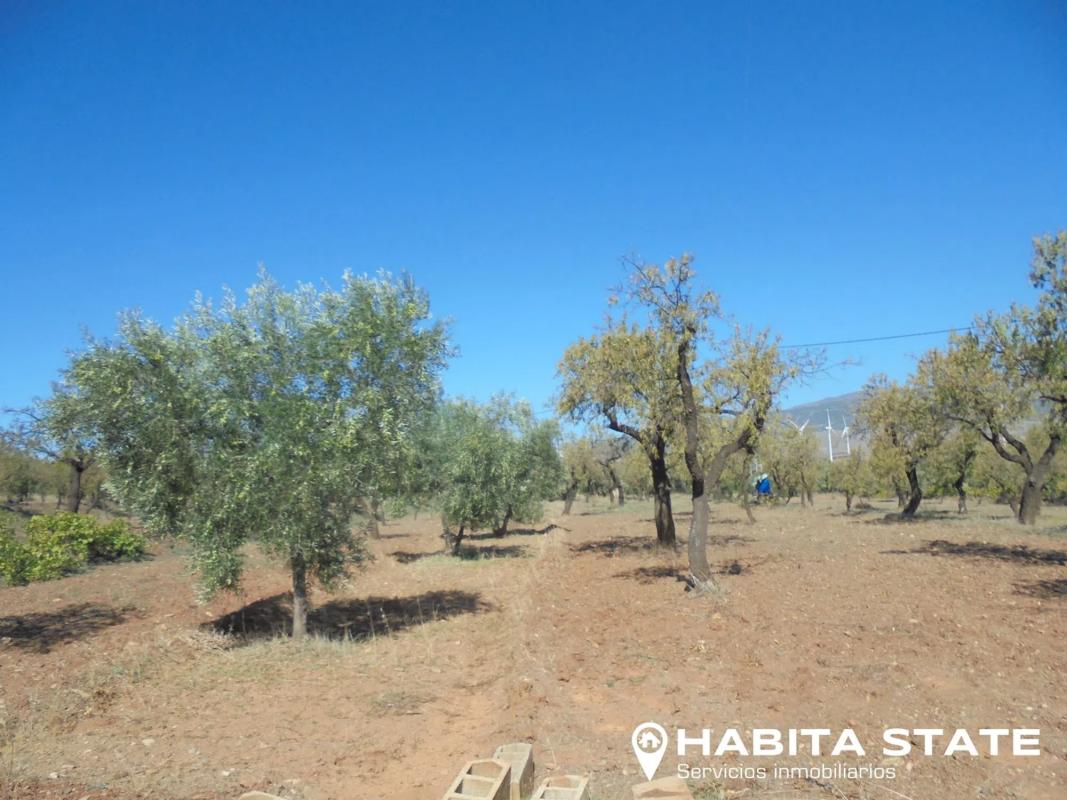 Terreno en venta en Abrucena, Almería photo 3