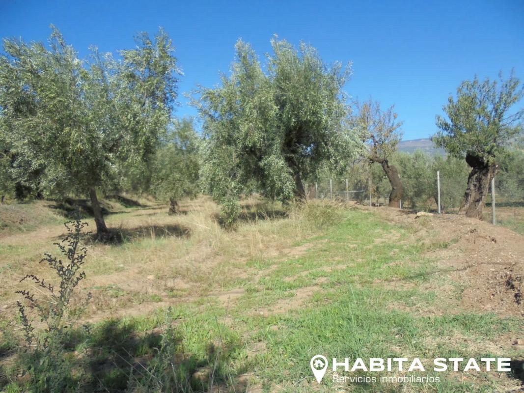 Terreno en venta en Abrucena, Almería photo 4