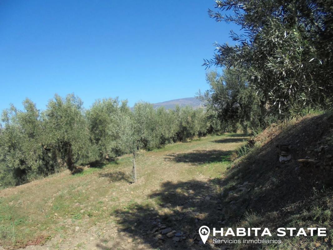 Terreno en venta en Abrucena, Almería photo 1