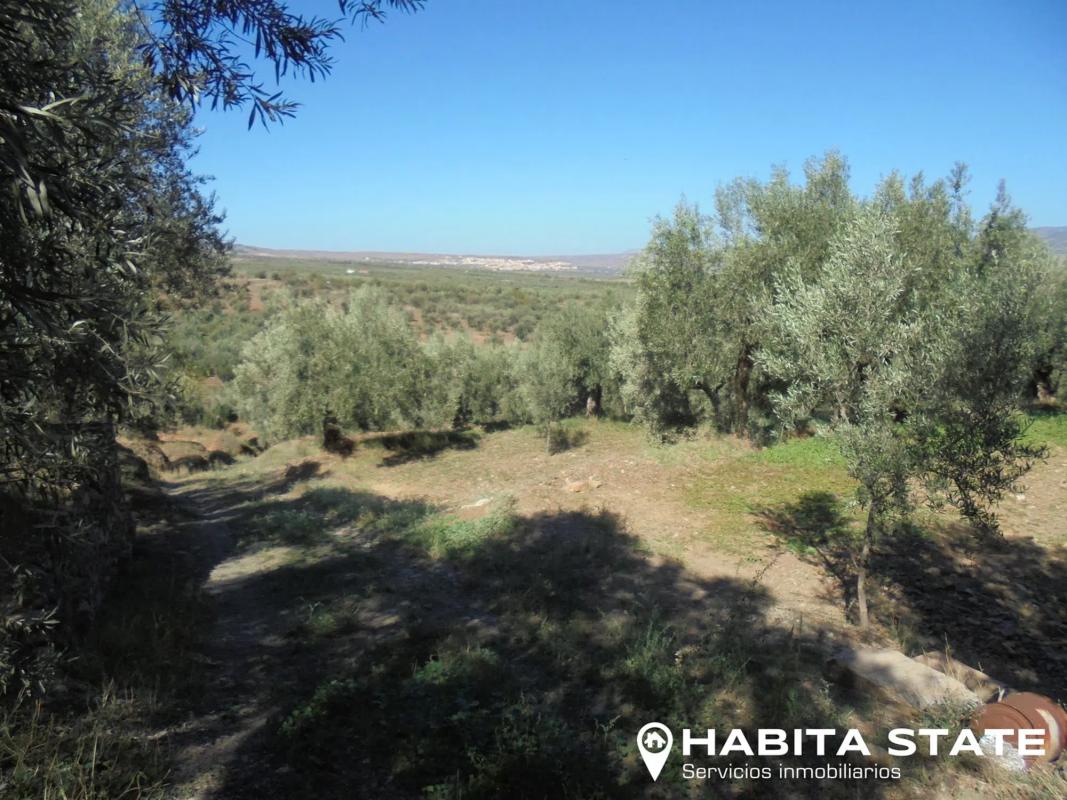 Terreno en venta en Abrucena, Almería photo 2
