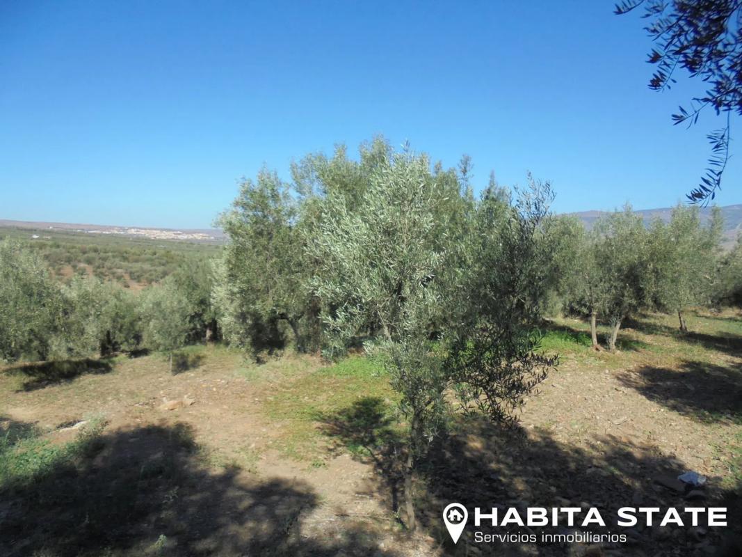 Terreno en venta en Abrucena, Almería photo 3