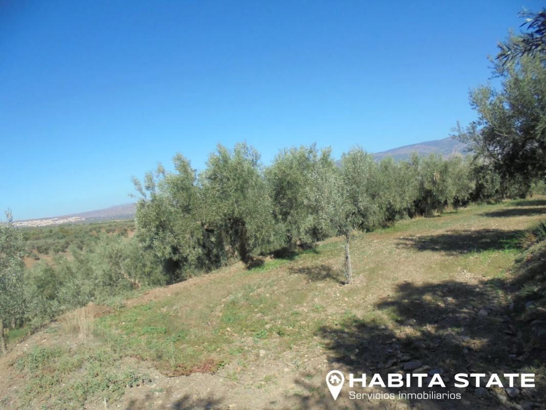 Terreno en venta en Abrucena, Almería photo 4
