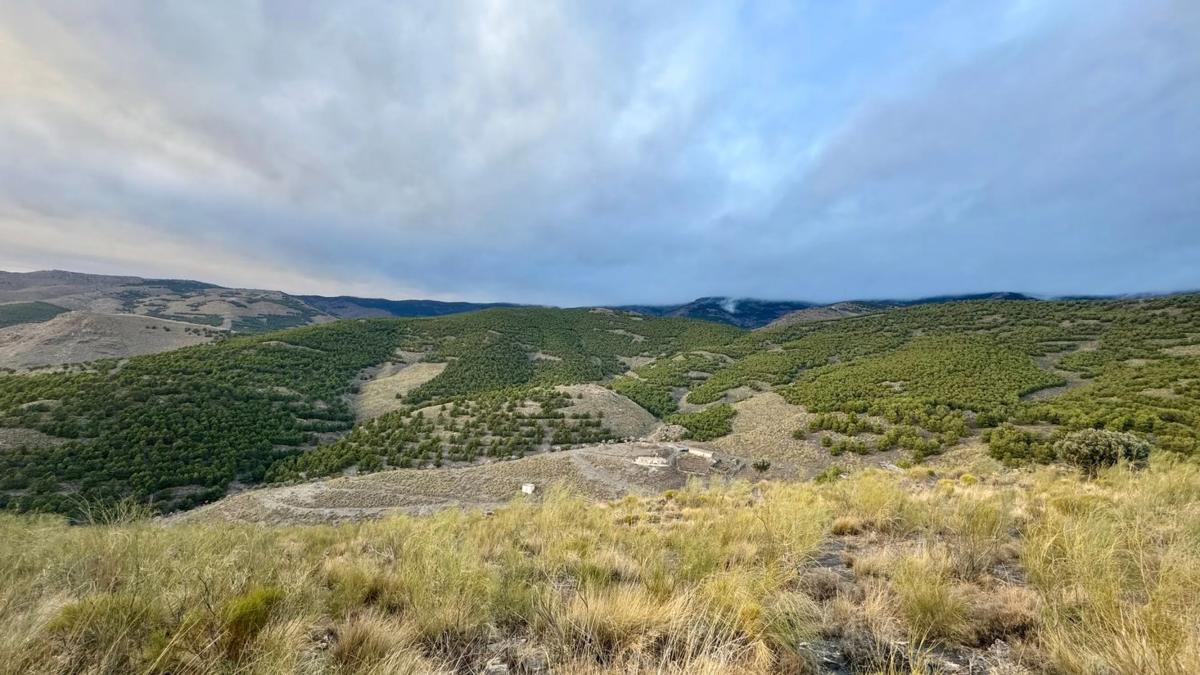 Land for sale in Gergal, Almería photo 1