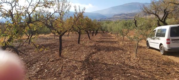 Terreno en calle El Campillo, 1 photo 1