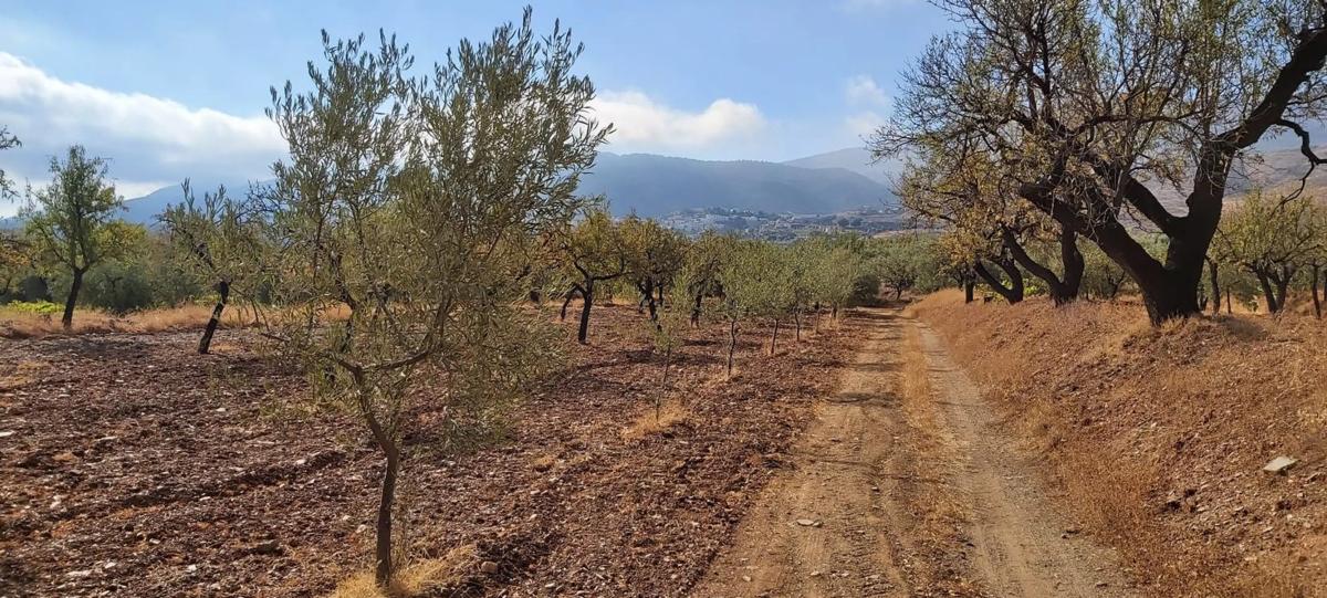 Terreno en venta en Abrucena, Almería photo 2
