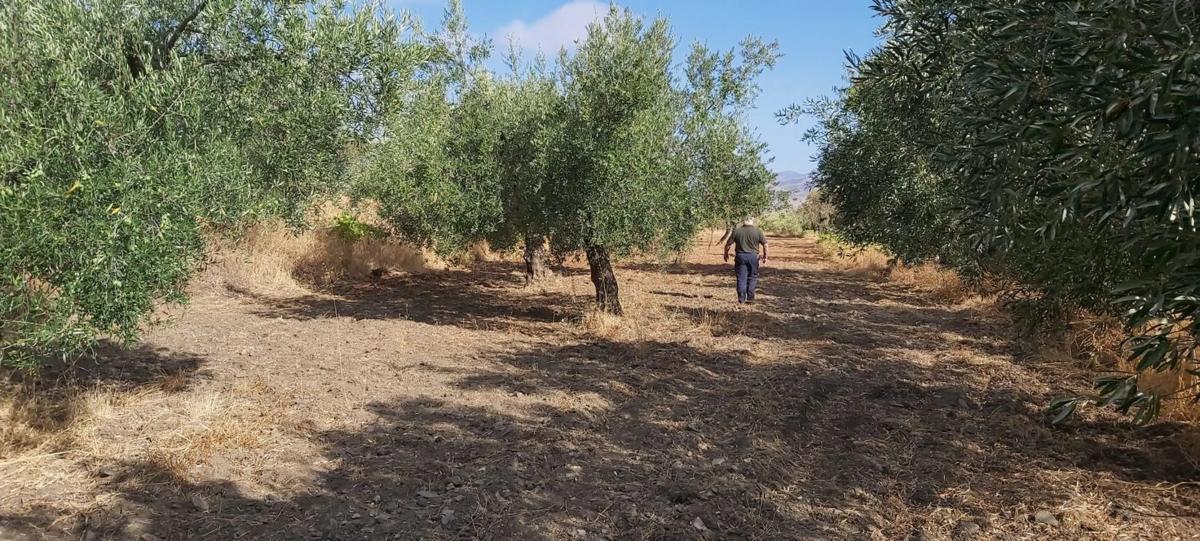 Terreno en venta en Abrucena, Almería photo 3