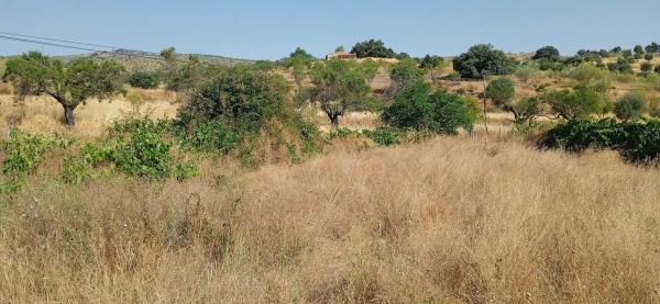 Terreno en rambla de Tahal, 1 thumbnail 1