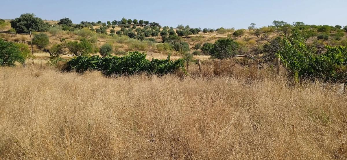 Terreno en venta en Tahal, Almería photo 3