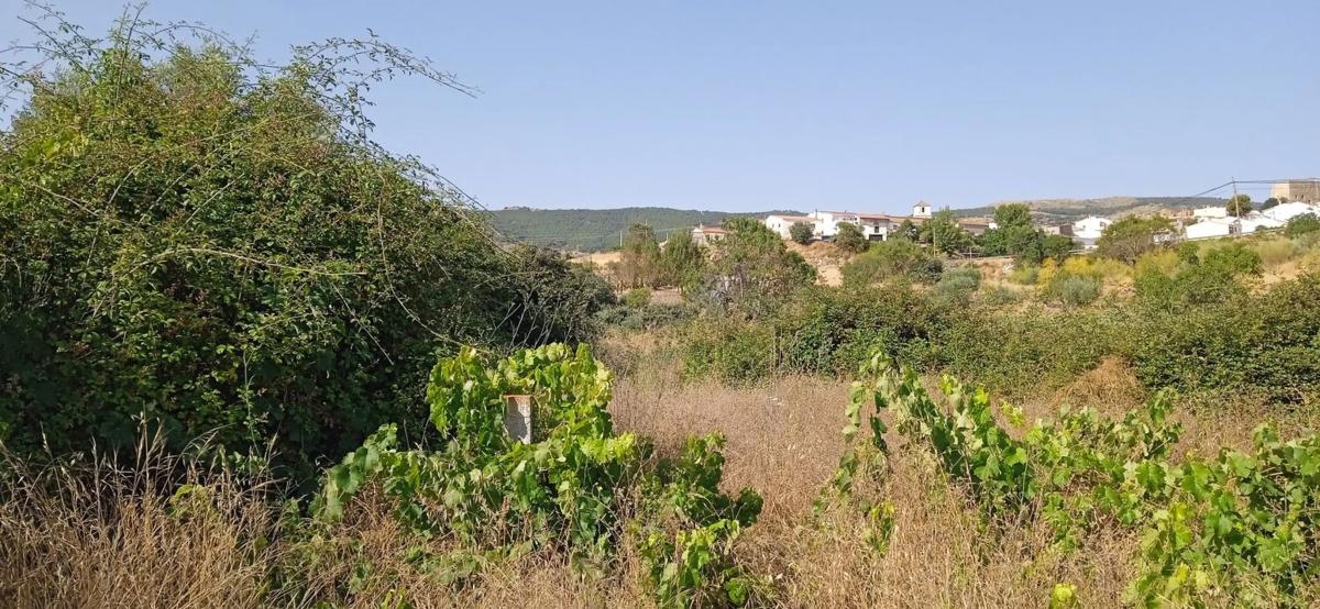 Terreno en venta en Tahal, Almería photo 4