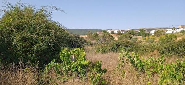 Terreno en rambla de Tahal, 1 photo 4