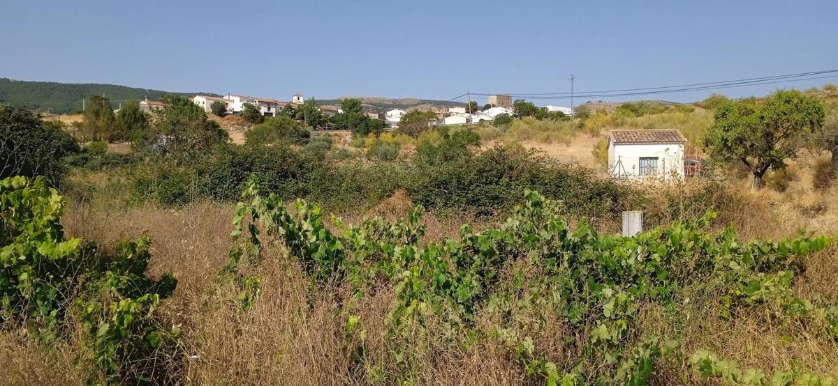 Terreno en venta en Tahal, Almería photo 5